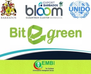 CEMBI - BLOOM Logos