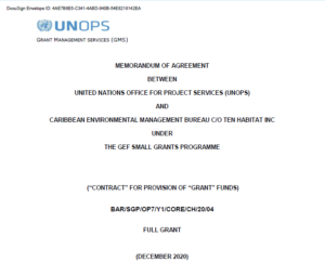 UNDP-CEMBI-TEN